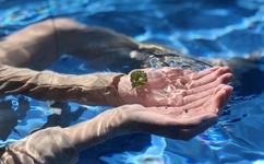 啪啪啪邪恶动态图